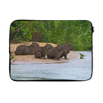 Produktbild von MuchoWow® Laptop Hülle 13 Zoll Vier Wasserschweine sitzen auf einer Sandbank im Pantanal Laptoptasche - Laptophülle - Sleeve - Rundumschutz