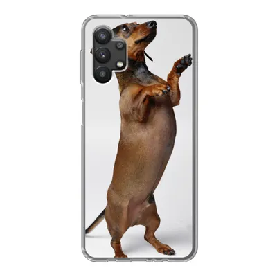 Produktbild von MuchoWow® Handyhülle Schutzhülle Hülle für Samsung Galaxy A32 5G Ein Dackel, der auf seinen beiden Hinterbeinen steht Silikon Softcase Handy Hülle - Softcase