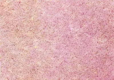Produktbild von KNORR PRANDELL 218438240 Formfilz 30 x 45 x 0,1 cm 100 % Viskose rosa