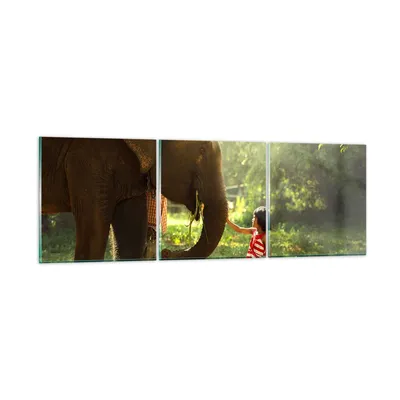 Produktbild von Bilder auf glas - Elefant Tier - 150x50cm - Glasbilder - Wandbilder - Bilder - Kunstdruck - zum Aufhängen bereit - Wanddekoration aus Glas - Glas Bilder - Wandbild auf Glas - 3 Teile - GCA150x50-3884