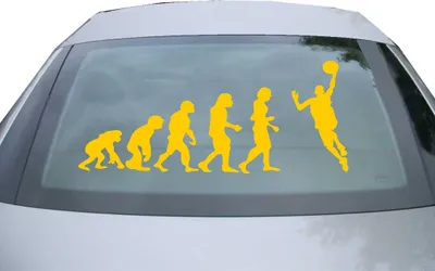 Produktbild von Indigos UG - Aufkleber Heckscheibe & Motorklappe DE6991 - gold - 600x252 mm - Evolution des Handballers - Auto Scheiben Fenster Heckklappe Tuning Racing JDM - Die cut
