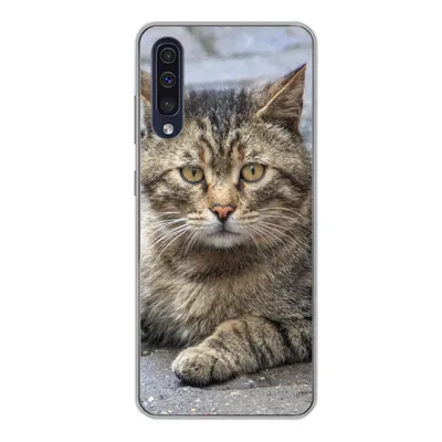 Produktbild von MuchoWow® Handyhülle Schutzhülle Hülle für Samsung Galaxy A50 Katze - Tier - Braun - Mädchen - Kinder - Jungen - Kind Silikon Softcase Handy Hülle - Mobiltelefonhülle
