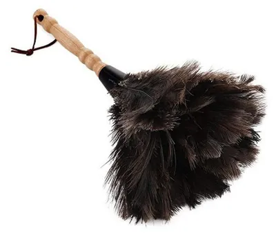 Immagine prodotto di Spolverino con piume naturali, 32 cm, manico in bambù