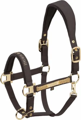 Produktbild von Eskadron Halfter FAUX LEATHER DOUBLE PIN black truffle Heritage HW 25/26, Größe:WE
