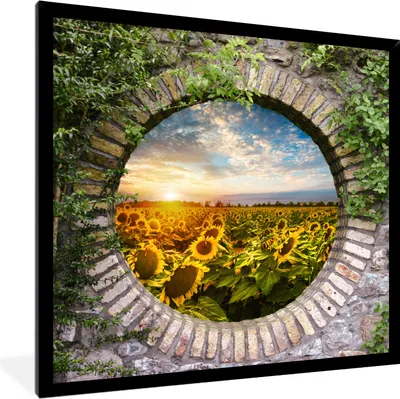 Produktbild von MuchoWow® Gerahmtes Poster Sonnenblumen - Ansicht - Blumen - Sonne 40x40 cm - Poster mit Schwarzem Bilderrahmen Wandposter Rahmen Foto Bilder - Mit Rahmen - Wanddekoration Schlafzimmer
