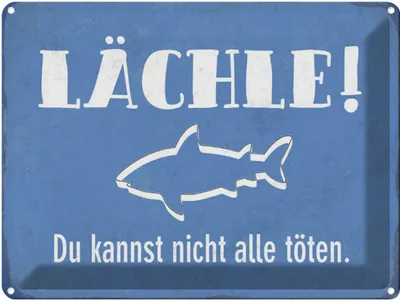 Produktbild von vianmo Blechschild 30x40 cm lächle Du kannst nicht alle Spruch Zitat