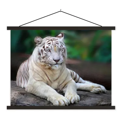 Produktbild von MuchoWow® Textilposter Weißer Tiger - Baumstamm - Wald 60x45 cm mit schwarzem Rahmen - Poster Schlafzimmer