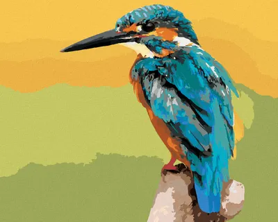 Produktbild von Zuty - Malen nach Zahlen - KLEINER EISBERGVOGEL, 40x50 cm, ohne Keilrahmen