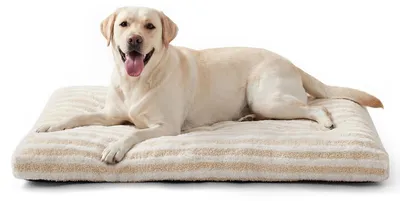 Imagen del producto de Solidchoice: Cama para perros suave y mullida, lavable y transpirable