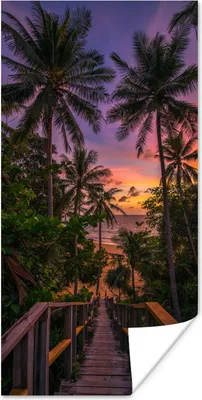 Produktbild von MuchoWow® Poster Sonnenuntergang - Palmen - Strand 20x40 cm - Plakat - Foto
