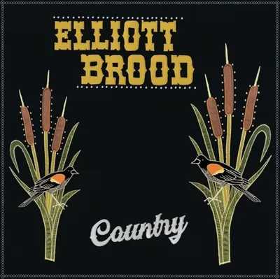 Obrázok produktu pre Elliott Brood: Country