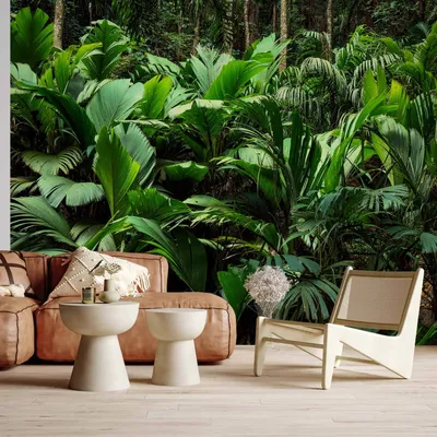 Produktbild von Vlies Fototapete - Freshness of the Jungle 200x140 cm Blätter b-B-0594-a-a