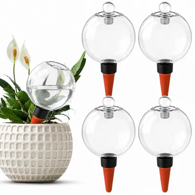 Bewässerungskugeln 500 ml, 4 Stück, mit Glasdeckel