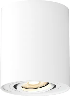 A white cylindrical ceiling light with a single spotlight.