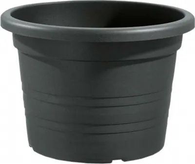 A dark gray plastic planter pot is shown against a white background.