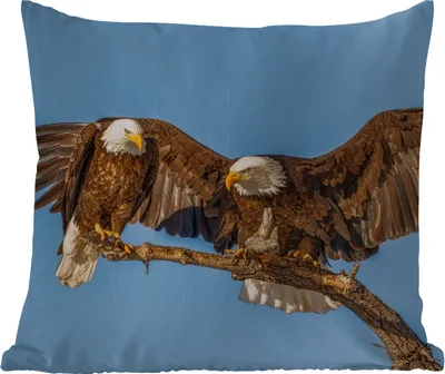 Produktbild von MuchoWow® Outdoor Kissen - Vogel - Äste - Adler - Raubvögel - Luft - 60x60 cm - Wetterfest - Lounge Kissen - Dekoration - Schlaf Kissen
