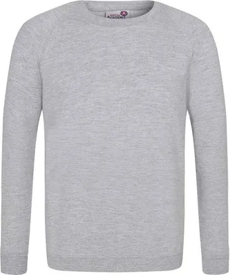 Produktbild von Awdis - "Academy" Sweatshirt für Kinder Raglanärmel PC7139 (158) (Grau)