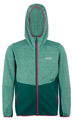 Produktbild von Regatta - "Prenton III" Jacke für Kinder RG11985 (140) (Regenwald/Grün)