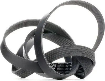 Produktbild von DAYCO Keilrippenriemen 1750,0mm für RENAULT CLIO II (BB0/1/2, CB0/1/2) 6PK1750
