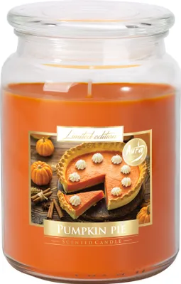 Zdjęcie produktu dla Nohel Garden Świeca w szkle PUMPKIN CIRCLE zapachowa 500g
