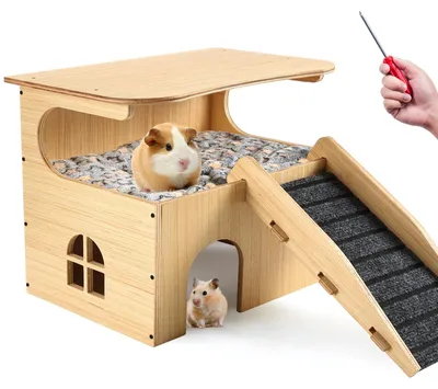 Image de Essenhome, grande maison pour cobayes, cachette pour cobayes