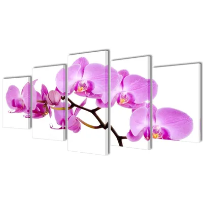 Produktbild von Bilder Dekoration Set Orchidee 100 x 50 cm