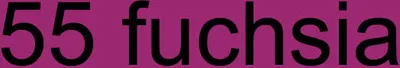Produktbild von 2 Stück Janine Jersey Kissenbezug 40 x 60 cm 100% Baumwolle Doppelpack 5007 55 fuchsia