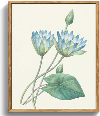 Immagine prodotto di Quadro botanico vintage su tela con cornice in legno, 30x40cm, Loto blu, Bouquet estetico