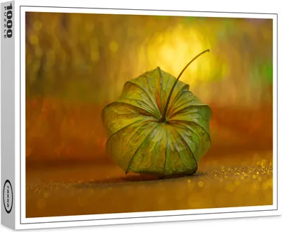 Image de puzzle premium raxxa "Lampion", 1000 pièces
