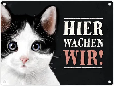 Produktbild von Metallschild mit Katze Motiv und Spruch: Hier wachen wir! Metallschild