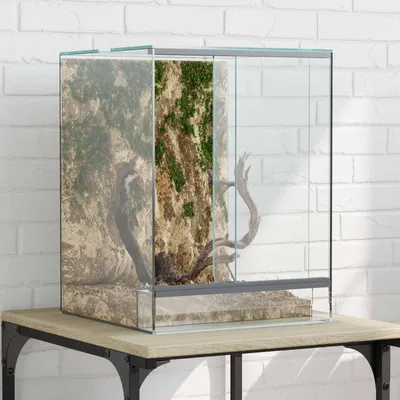 Produktbild von "Schlussverkauf" Terrarium - Viel Platz - mit Speicher Transparent 30x30x40 cm Glas C17429