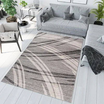 Produktbild von Teppich Wohnzimmer Schlafzimmer Kurzflor Modern Meliert Design Grau Beige  200 x 290 cm