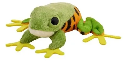 Zdjęcie produktu dla Żaba chwytnica moreleta 10cm - Beppe