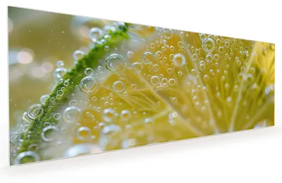 Produktbild von Küchenrückwand Spritzschutz Glas mit Motiv Zitronenscheibe 40 x 40 cm