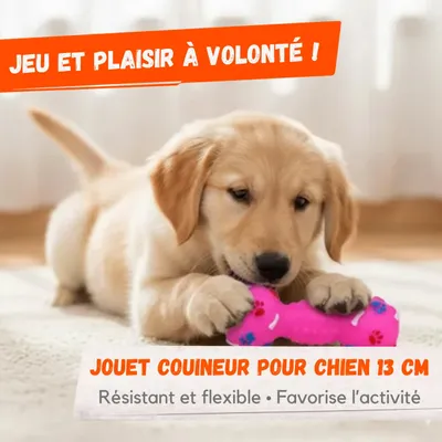 Image de Jouet Couineur pour Chien 13 cm