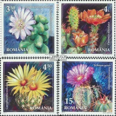Produktbild von Briefmarken Rumänien 2017 Mi 7270-7273 (kompl.Ausg.) postfrisch Kakteenblüten