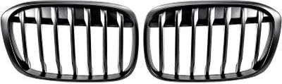 Produktbild von DIEDERICHS 1266240 Kühlergrill Frontgrill für BMW X1 (F48) Schwarz Matt