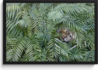Produktbild von MuchoWow® MuchoWow® Gerahmtes Poster Tiger - Blätter - Farn 60x40 cm - Poster mit zchwarzem Bilderrahmen - Printing - Wanddeko Schlafzimmer
