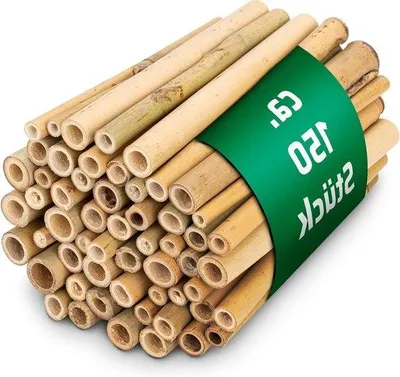Produktbild von Bambusrohre für Insektenhotel – 150 Stück – Nestrohre für Wildbienen Zubehör für Insektenhaus Wildbienenhotel Wildbienenhaus | Bambusröhren Bambusstangen