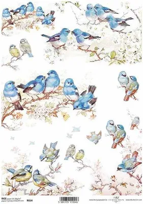 Produktbild von ITD Reispapier Decoupage Bastelpapier Softpapier, R654 - Vögel