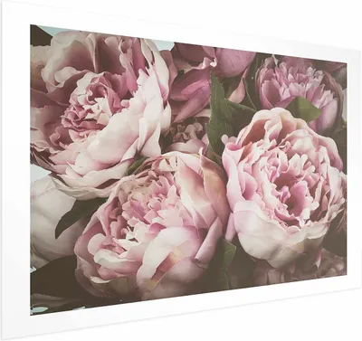 Produktbild von Posterpapier Poster - Pink Peonies 90x60 cm Blumen b-B-0351-ao-a