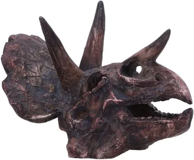 Productafbeelding van Dinoskeletbeeld – Cadeaus en decoratie voor liefhebbers en verzamelaars van paleontologie – Handgeschilderd dinosaurusfossiel van hars – Triceratops