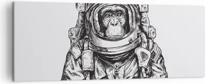 Produktbild von Bild auf Leinwand - Leinwandbild - Einteilig - Schimpanse Astronaut Zeichnung - 140x50cm - Wand Bild - Wanddeko - Wandbilder - Leinwanddruck - Bilder - Wanddekoration - Leinwand bilder - AB140x50-4312