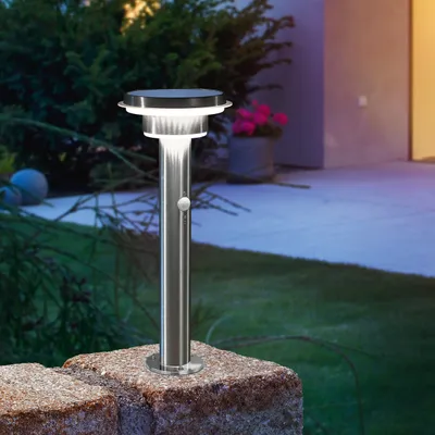 A solar-powered garden light with a motion sensor, made of stainless steel, is shown at dusk.