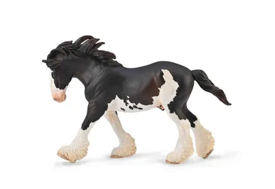 Immagine prodotto di COLLECTA Stallone Clydesdale - 1:20
