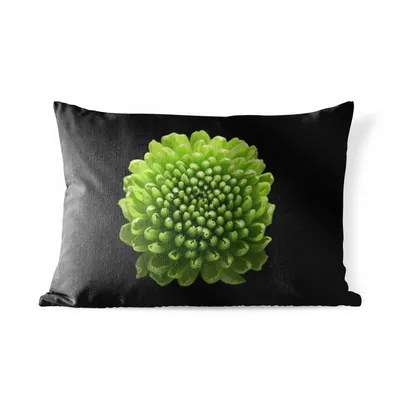 Obrázek produktu pro MuchoWow® Vnější polštář - Zelený květ chryzantémy na černém pozadí -60x40 cm- Odolnost proti povětrnostním vlivům - polštář do obývacího pokoje