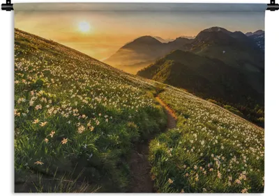Produktbild von MuchoWow® Wandteppich Wandbehang Blumen - Sonne - Berge 60x45 cm Tapisserie Dekoration Wandtuch - Das Schlafzimmer