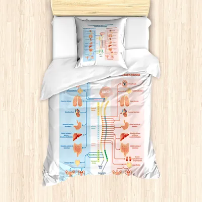 Produktbild von ABAKUHAUS Anatomie Bettbezug Set für Einzelbetten, Nervensysteme Struktur, Milbensicher Allergiker geeignet mit Kissenbezug, 135 cm x 200 cm - 80 x 80 cm, Baby Blue und Blush