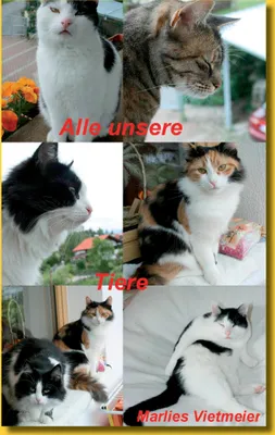 Produktbild von Alle unsere Tiere