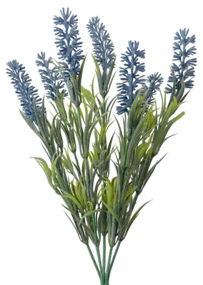 Produktbild von Künstlicher Lavendelbund 33cm | Lavendelzweig für Vase & Dekoration